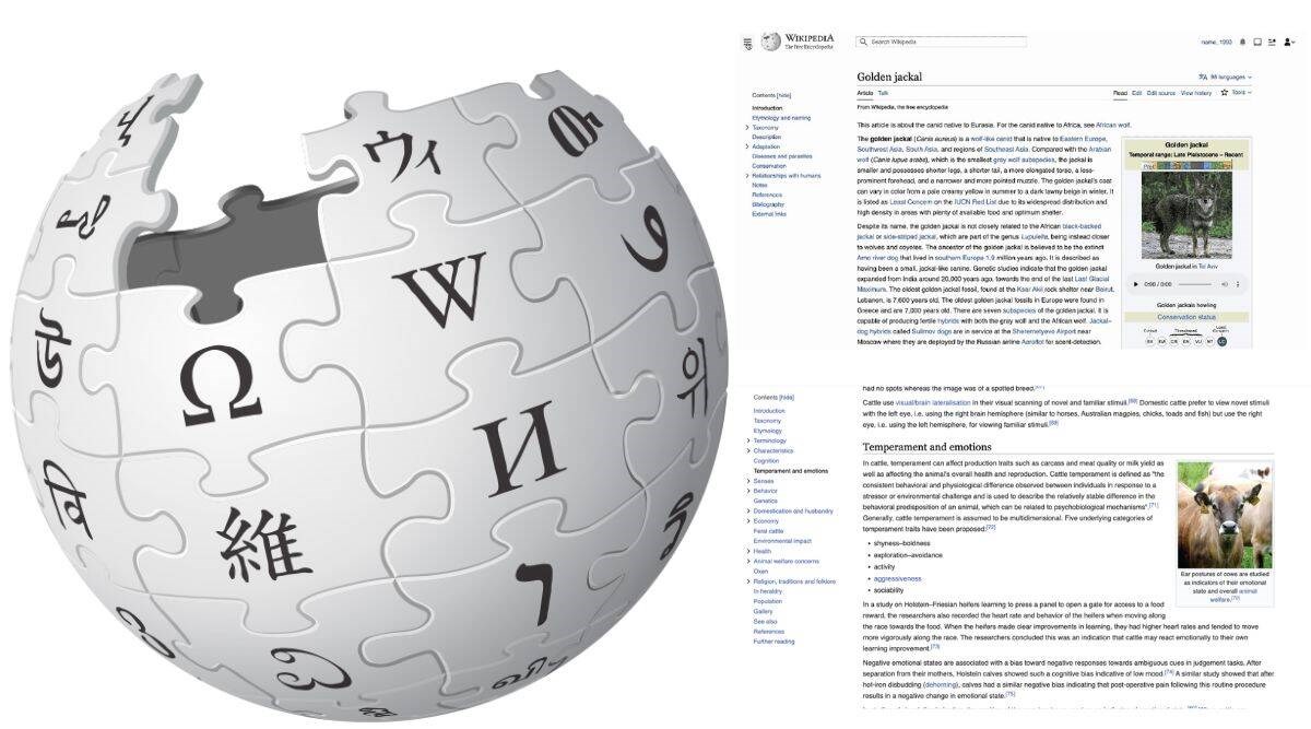 Wikipedia'nın tasarımı 12 yıl sonra ilk kez yenilendi: İşte yeni