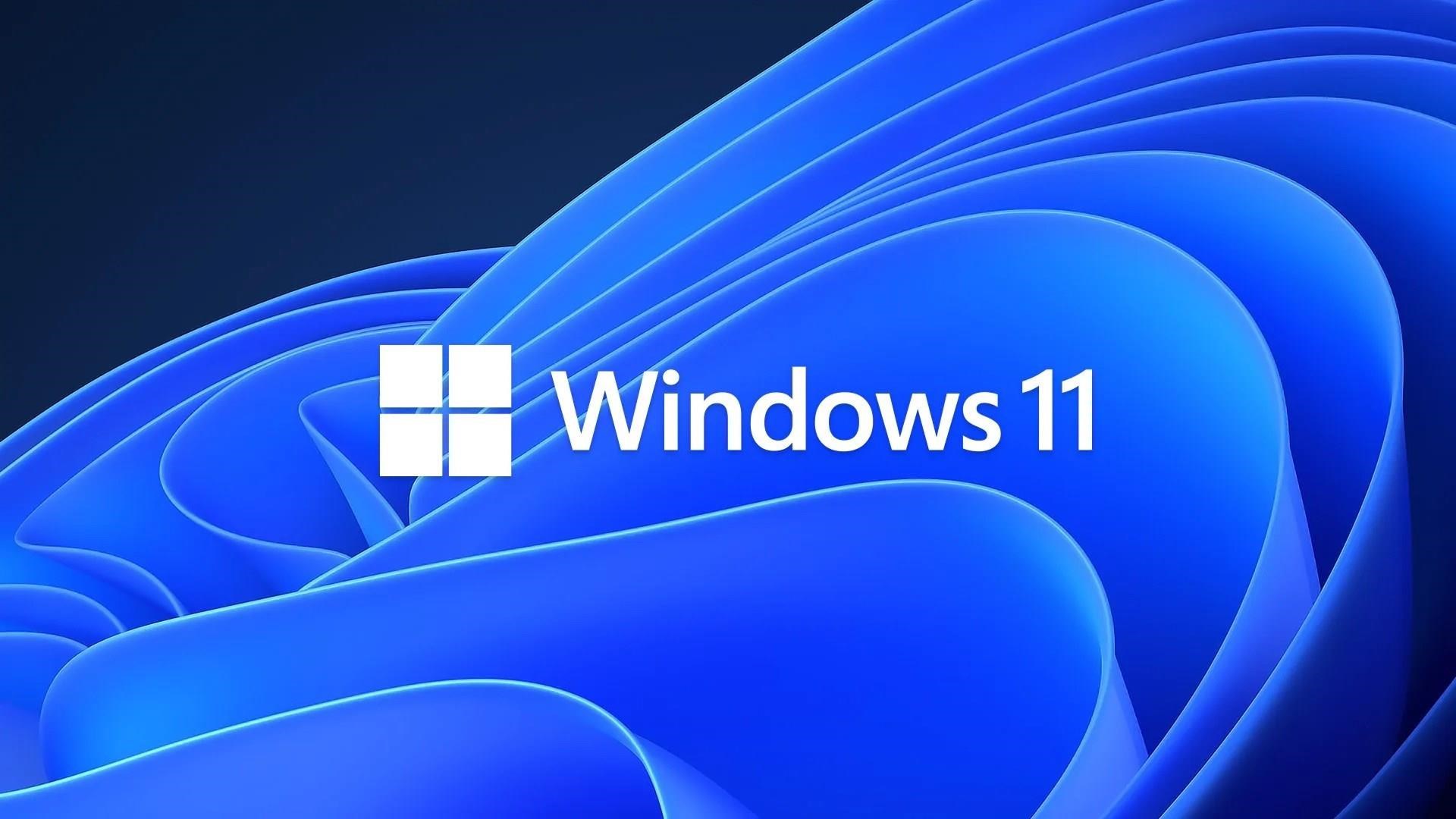 Windows 11 emin adımlarla büyürken Windows 10 liderliğini koruyor