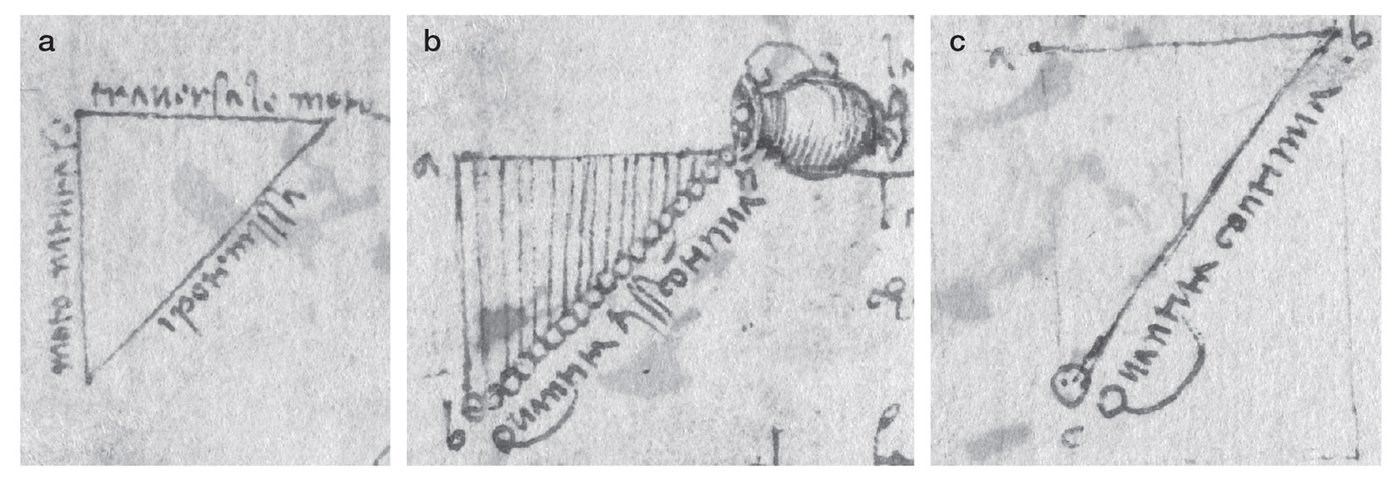 Leonardo da Vinci, yerçekimini Newton'dan 150 yıl önce keşfetti