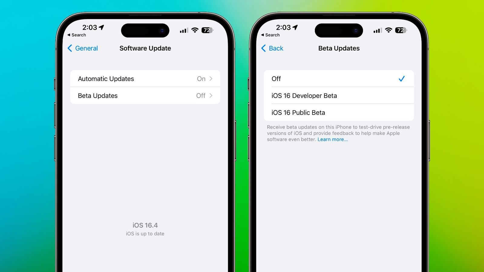 iOS 17 geliştirici beta ücretsiz yüklenemeyecek
