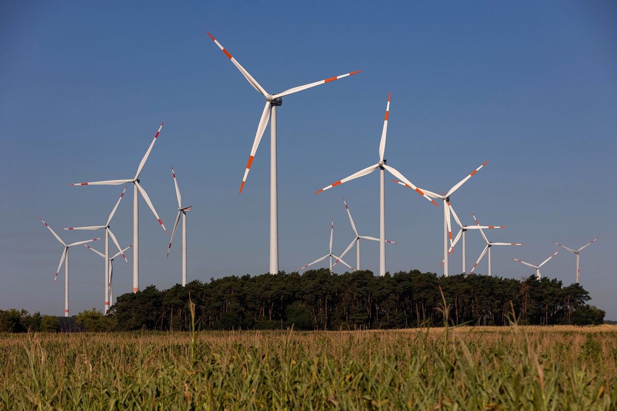 Rüzgar enerjisi yatırımları düştü, arkasındaki neden ne?