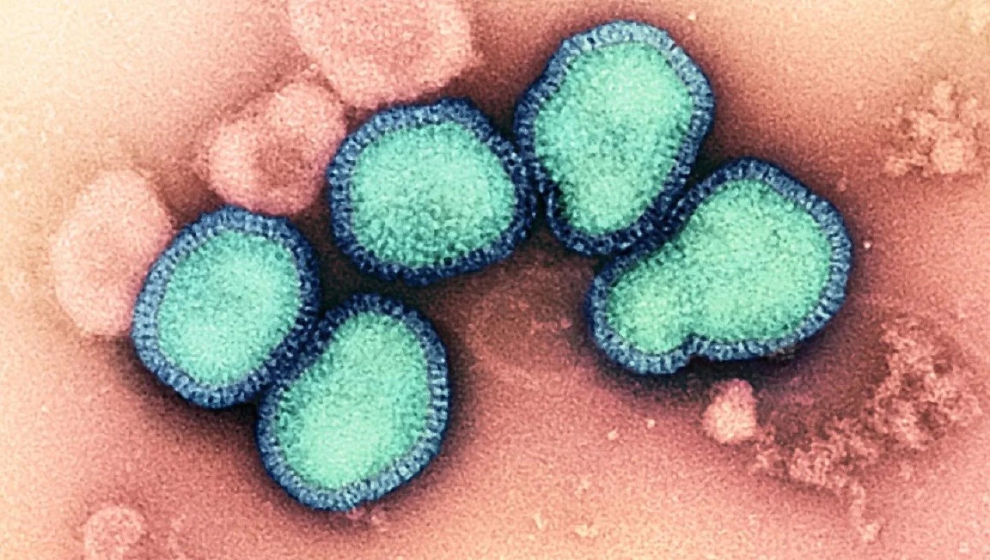 Küresel mRNA grip aşısının insan denemeleri başladı