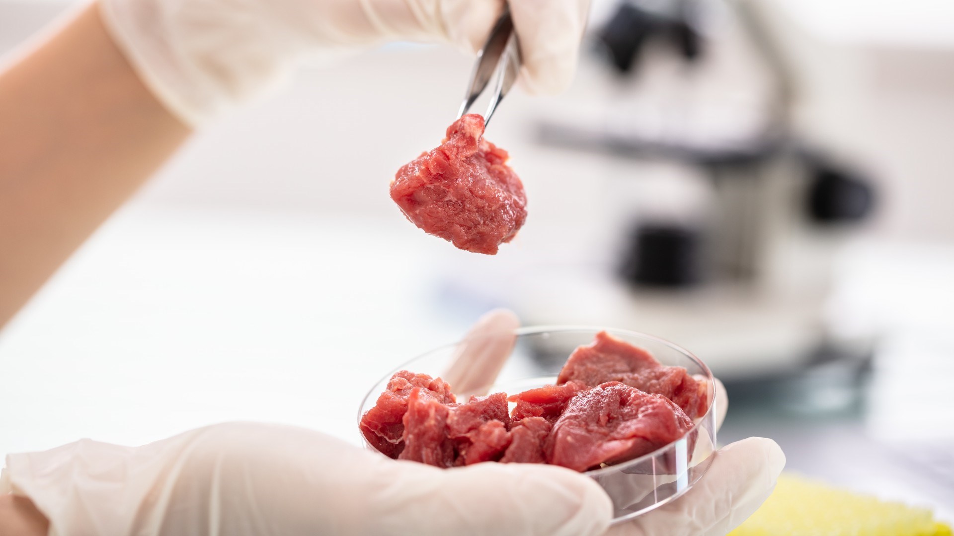Laboratuvarda yetiştirilen etler için utanç verici gelişme!