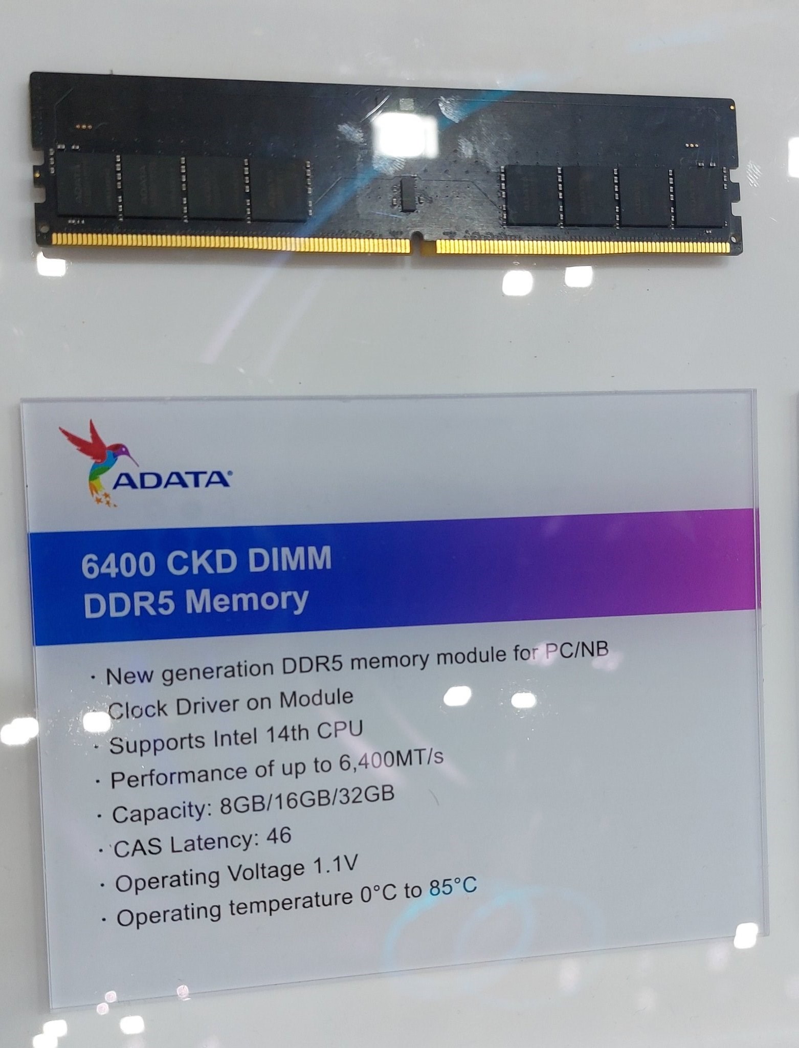 ADATA 14. nesil Intel işlemciler için ilk DDR5 bellekleri tanıttı