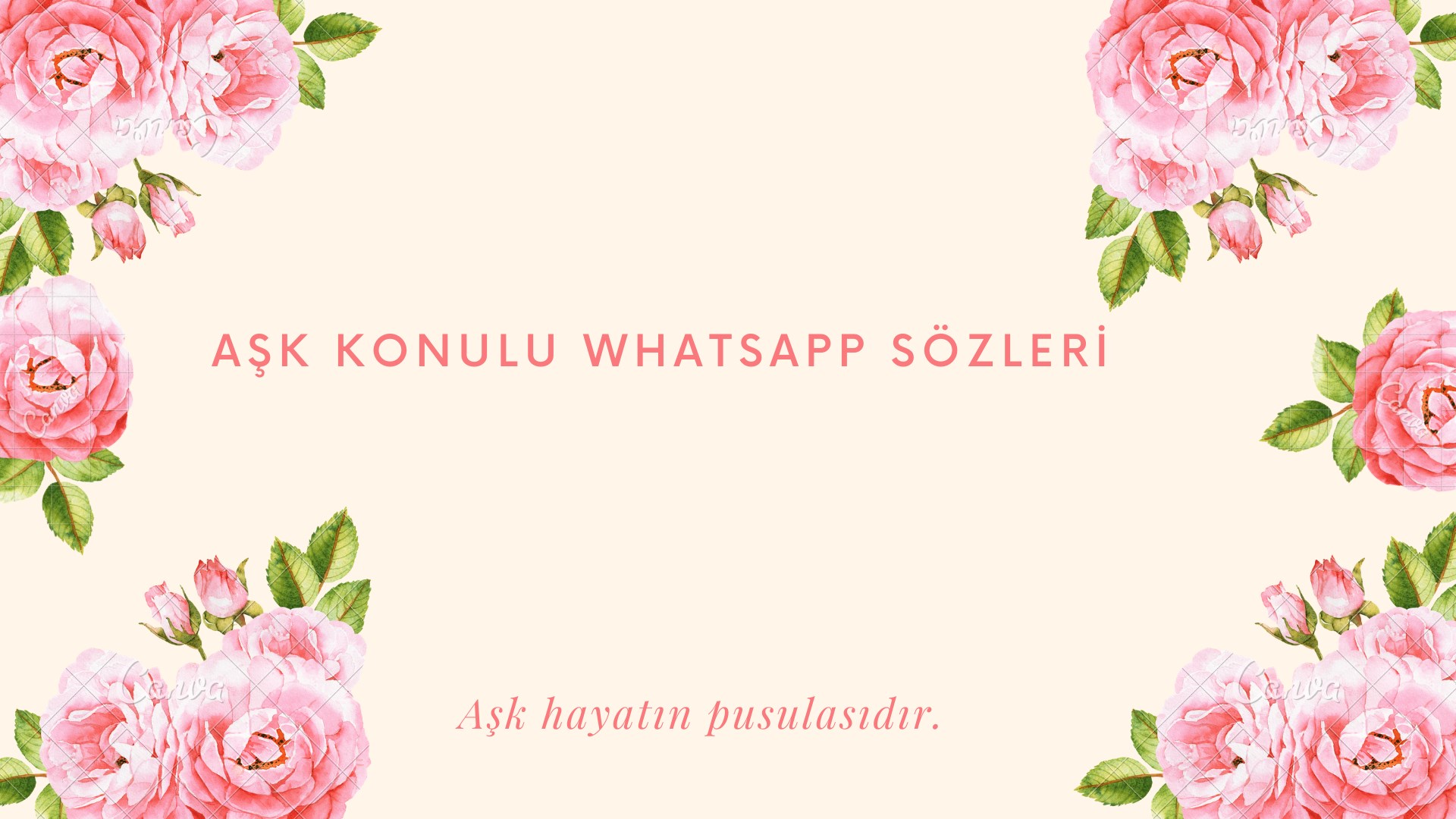 Whatsapp aşk sözleri