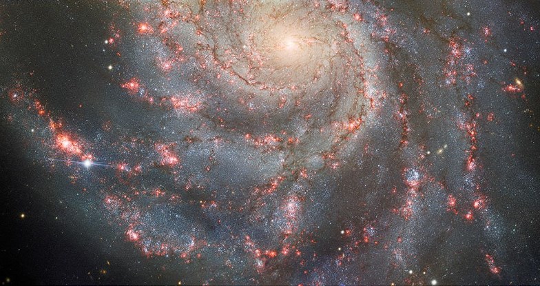 Gökyüzünde yeni bir süpernova belirdi