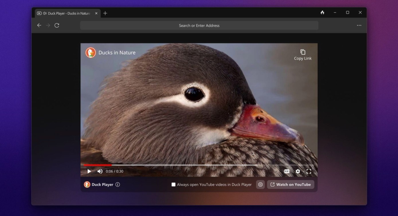 Gizlilik odaklı DuckDuckGo tarayıcısı Windows platformuna geldi