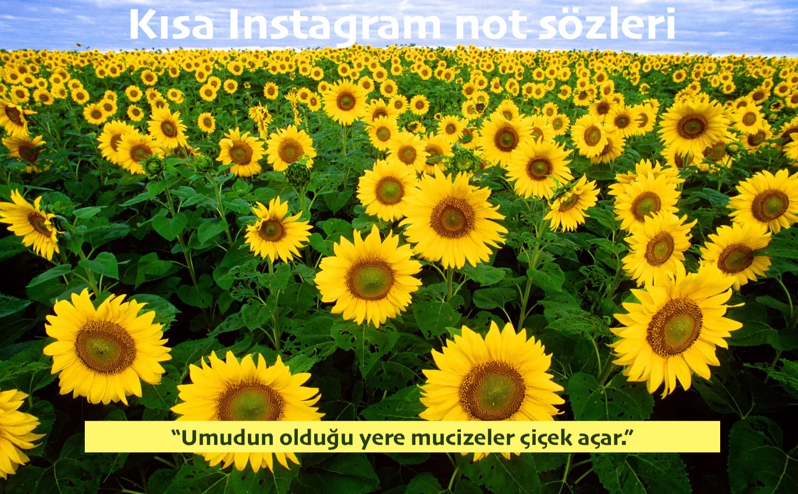 instagram not sözleri kısa anlamlı