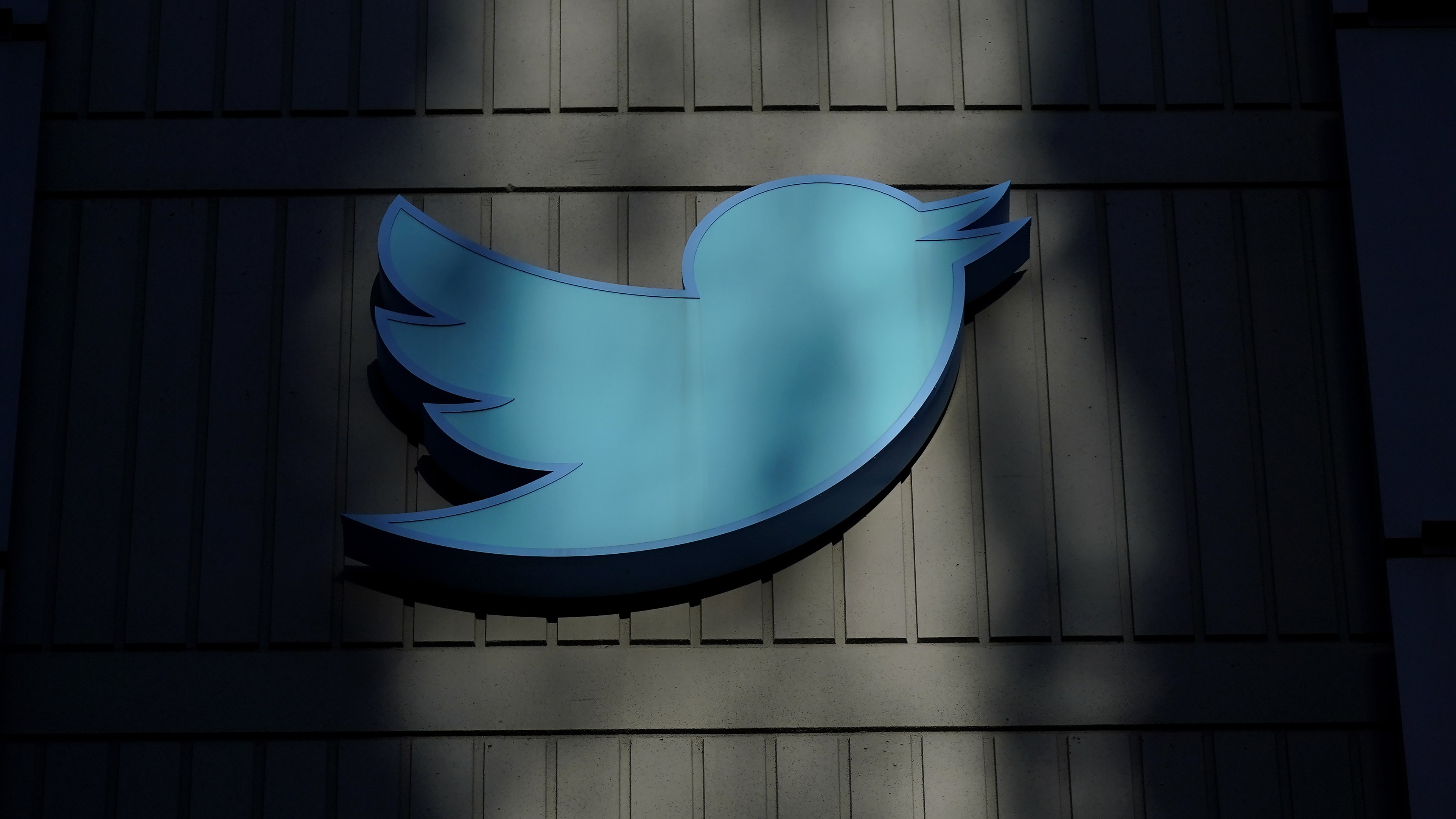 Twitter yasa dışı veri kazıma suçlamasıyla dört şirkete dava açtı