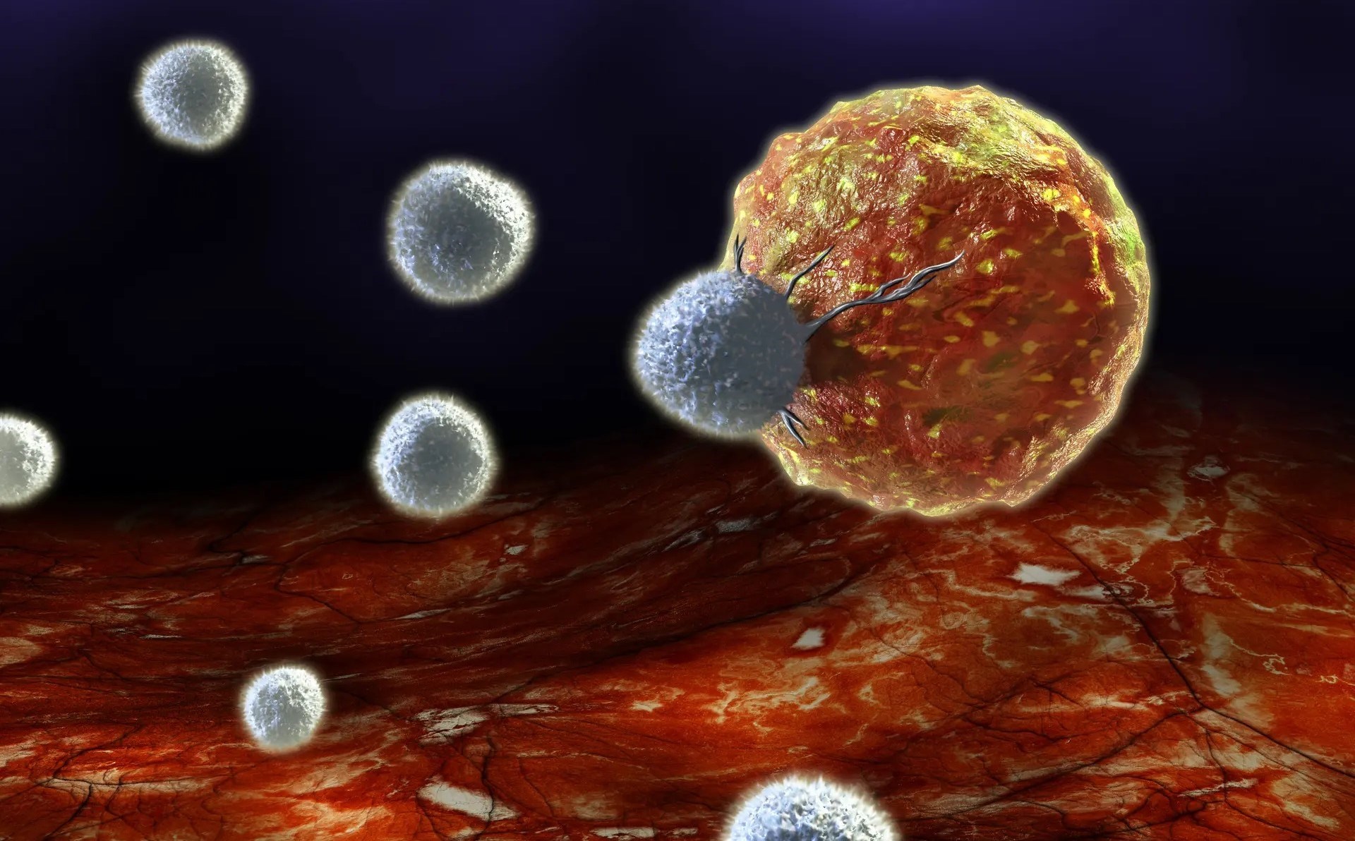 Kanseri yenen kişilerde süper “katil” T hücreleri keşfedildi