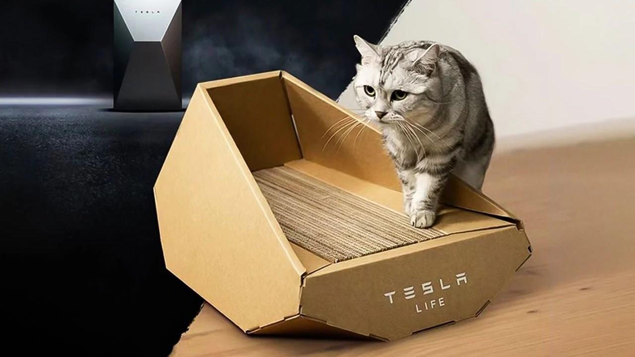Tesla'dan tuhaf bir ürün daha: Cybertruck kedi yatağı