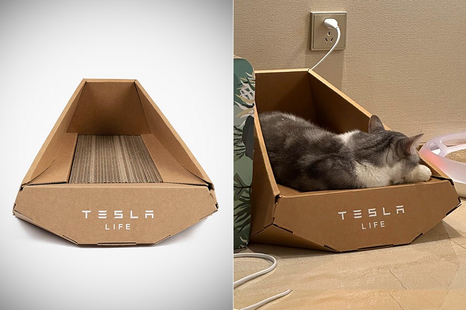 Tesla, Cybertruck kedi yatağının tasarımını çalmakla suçlanıyor