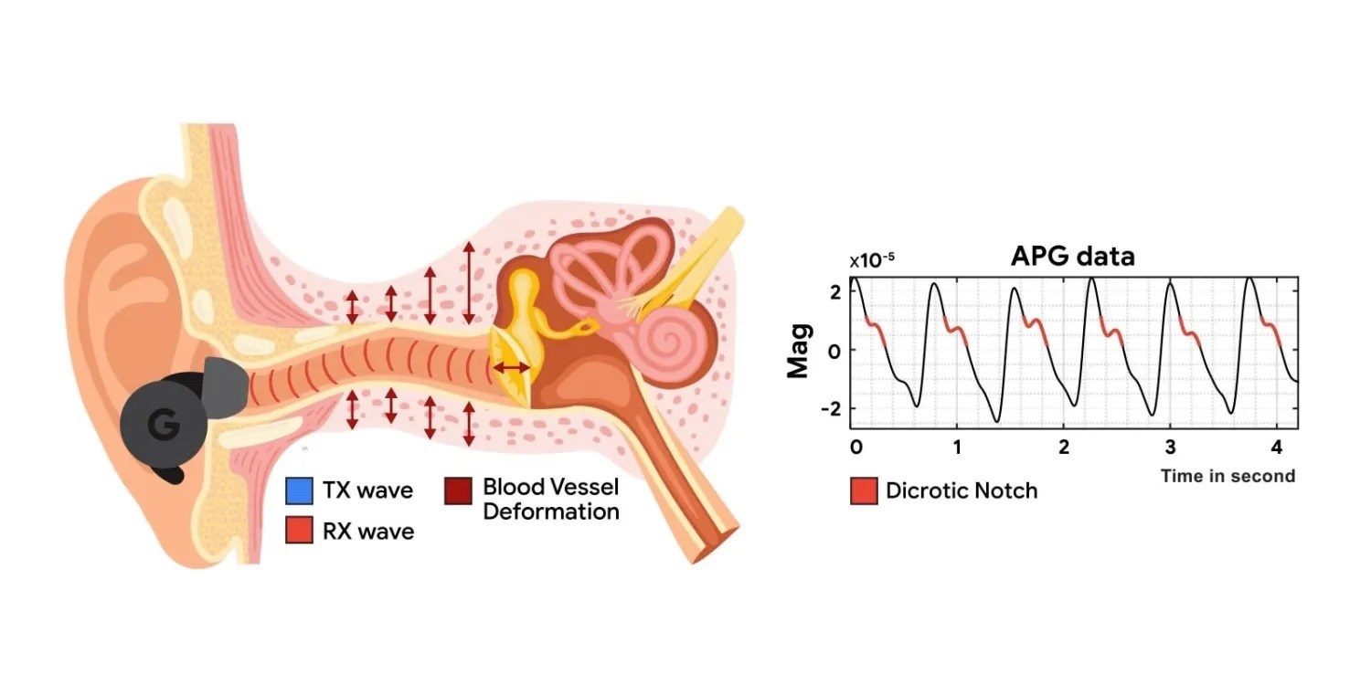 Google, ANC kulaklıkları kalp atış hızı monitörüne dönüştürebilir