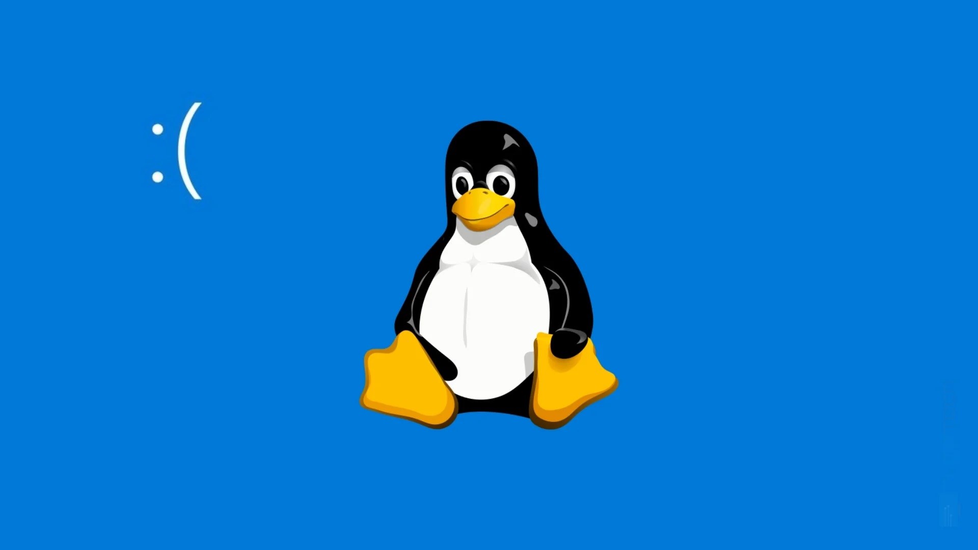 Bmp download. Изображения с расширением bmp. Рисунки с расширением bmp. Изображения с расширением jpg. Рисунки с расширением jpg и bmp.