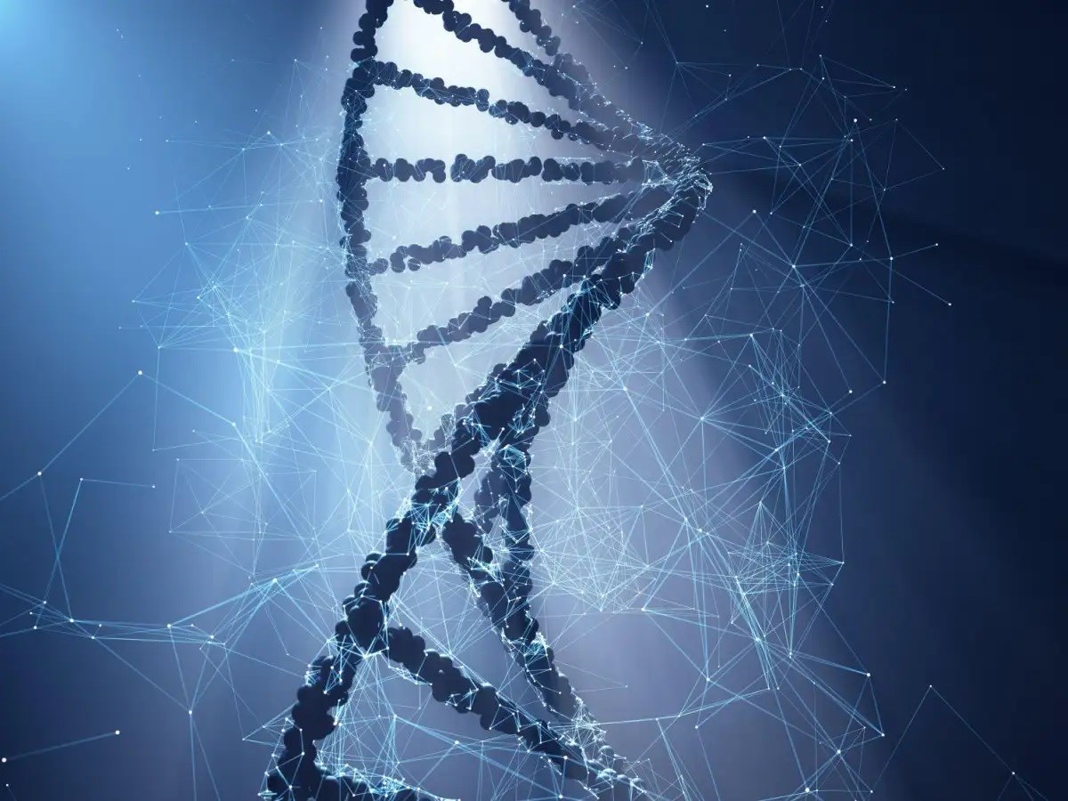 Kendilerini kopyalayabilen DNA nanabotlar geliştirildi