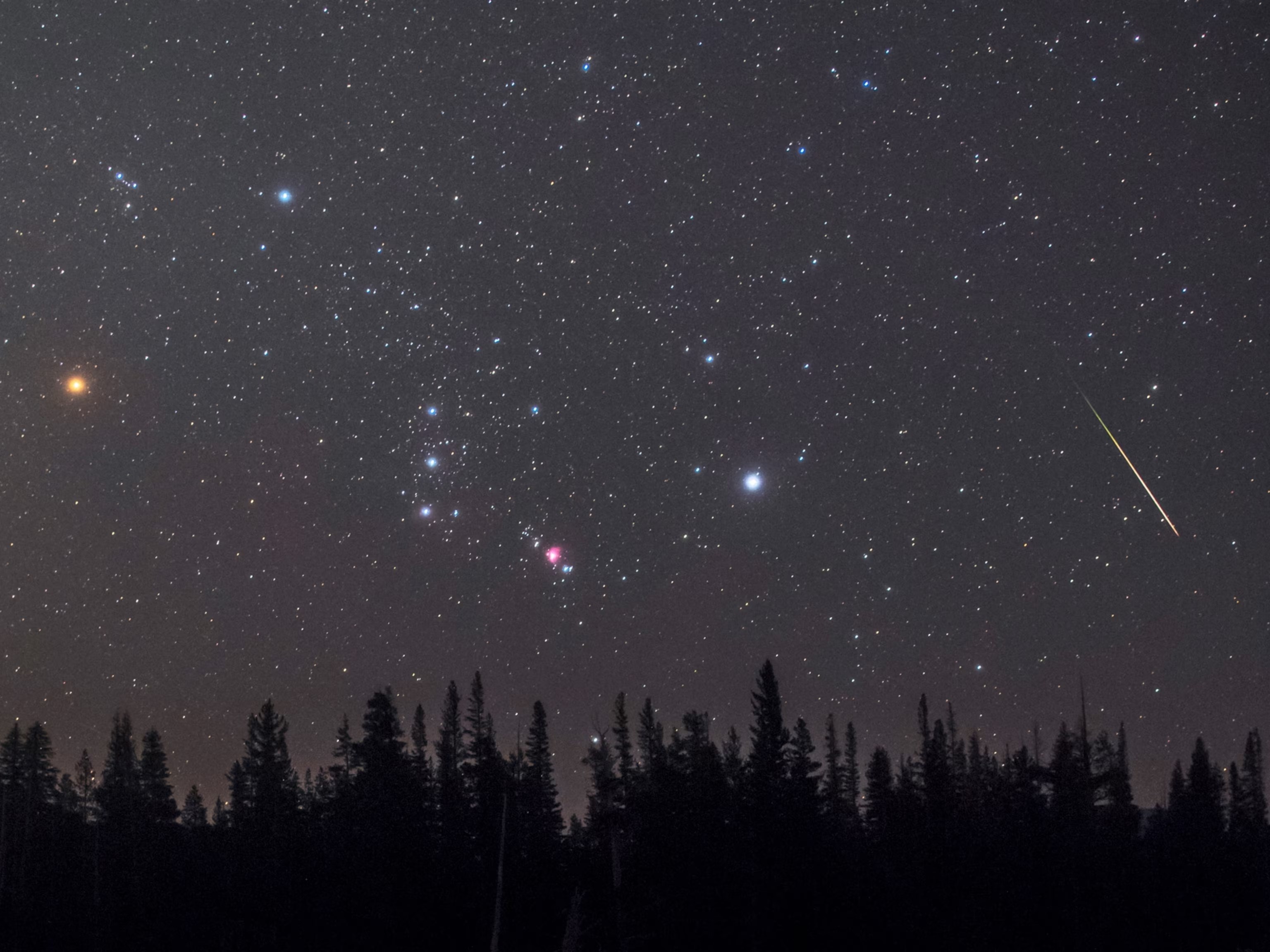 Какими мы видим звезды. Звезда Бетельгейзе в созвездии Ориона. Бетельгейзе Альфа Ориона. Звезда Бетельгейзе (Альфа Орион. Звезда Бетельгейзе с земли.