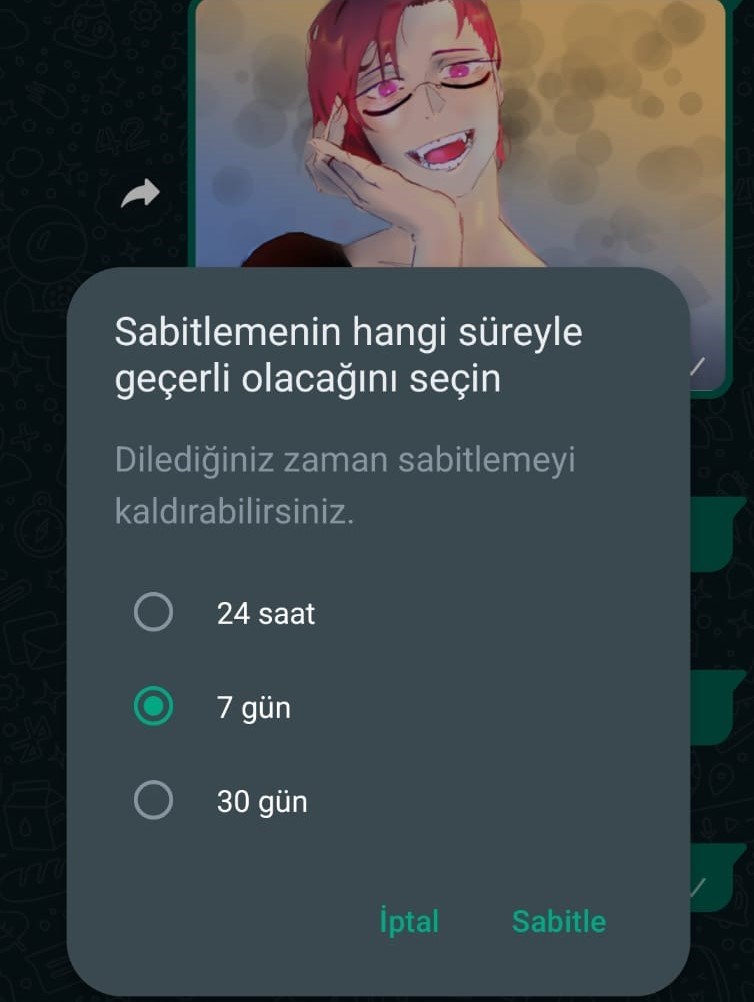 WhatsApp sohbetlerine mesaj sabitleme özelliği geldi