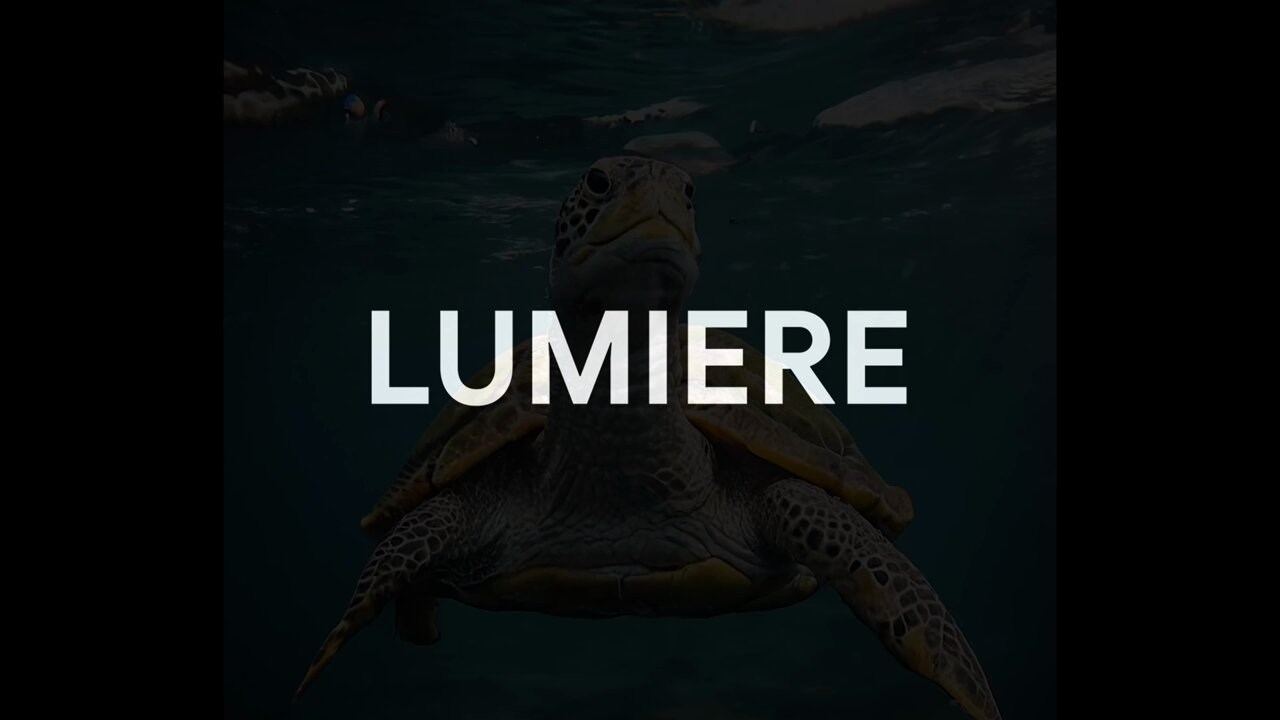 Google olağanüstü Lumiere video oluşturma yapay zekasını tanıttı