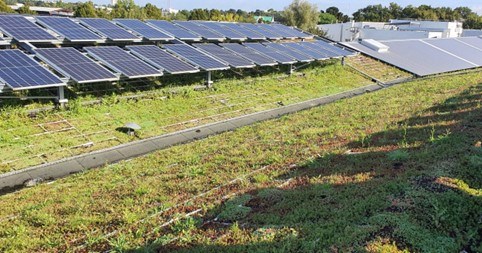 Yeşil çatı ve PV panellerin elektrik üretimi artıyor