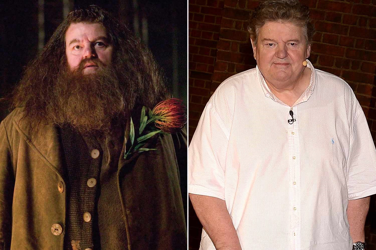 harry potter karakteri iri adam Rubeus Hagrid