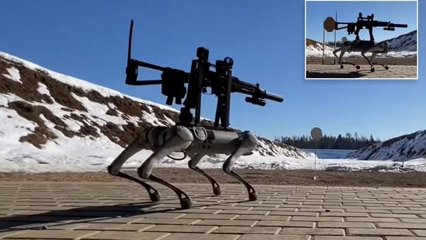 Çinliler, insanlar kadar iyi nişan alan robot köpek geliştirdi