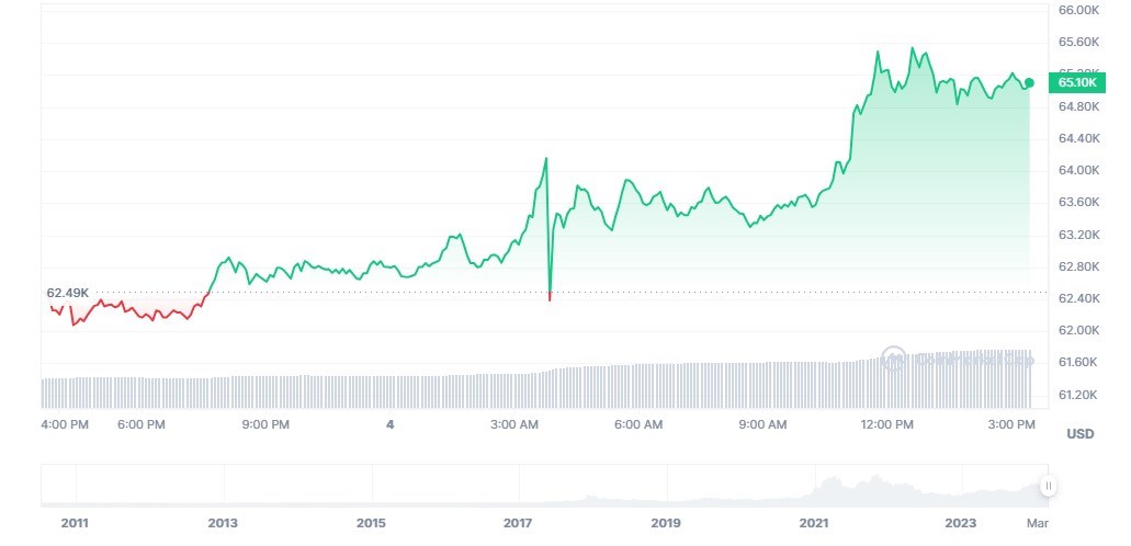 Bitcoin fiyatı 65 bin dolar oldu! Ne kadar daha yükselir?