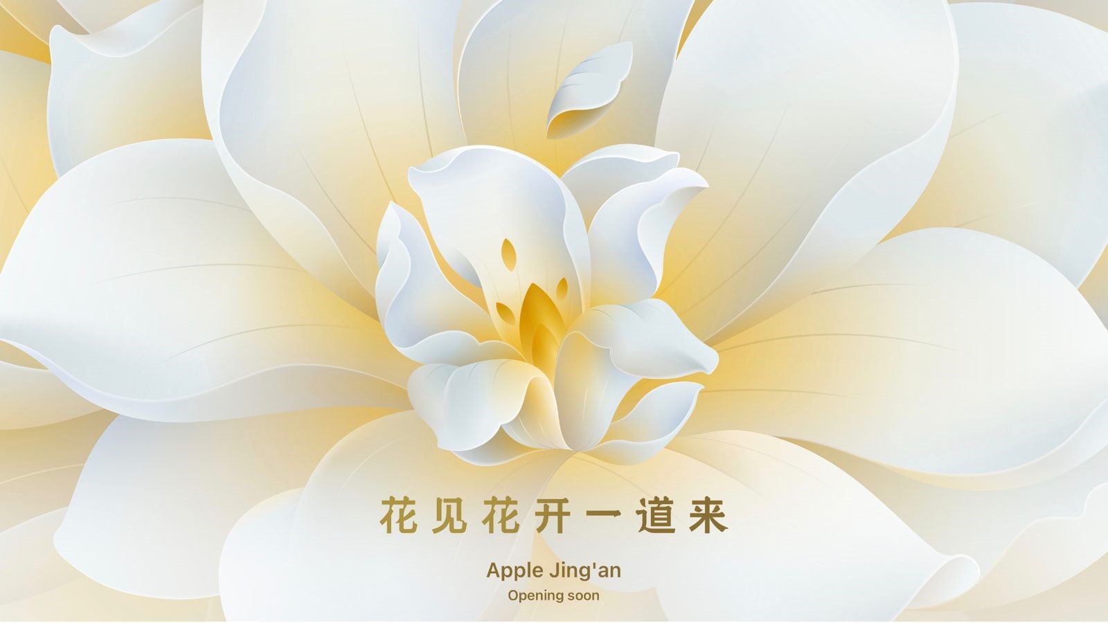 Apple Jing'an Çin Şanghay mağazası açılıyor