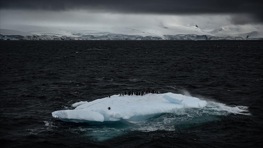 Türk akademisyenler Antarktika'daki kirliliği araştıracak