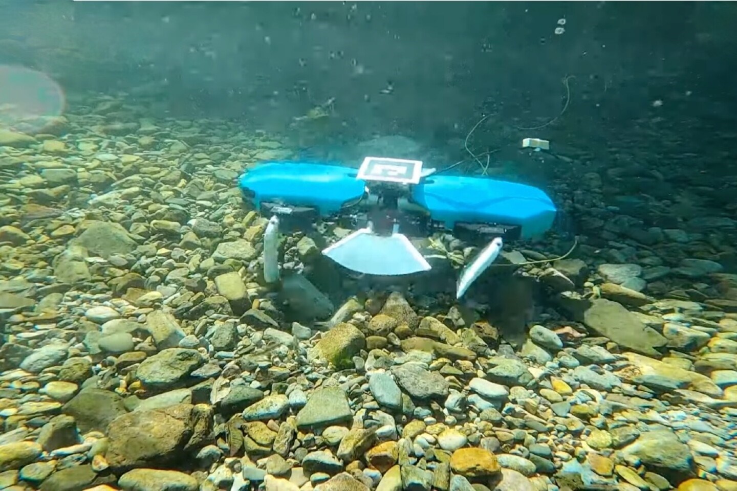 Suda yüzgeçleriyle yüzebilen ve yürüyebilen robot geliştirildi