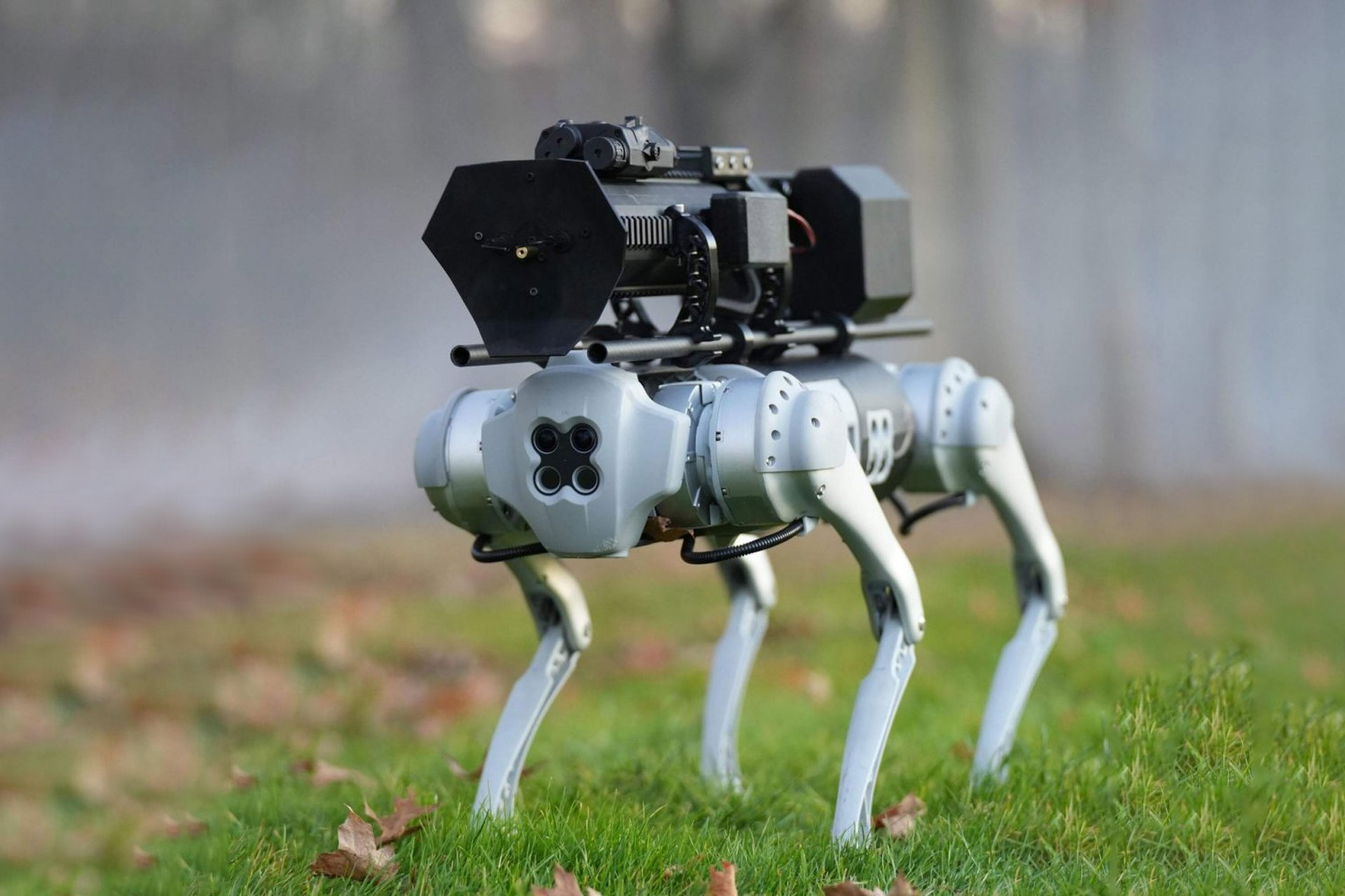 Dünyanın ilk alev püsküren robot köpeği: Thermonator