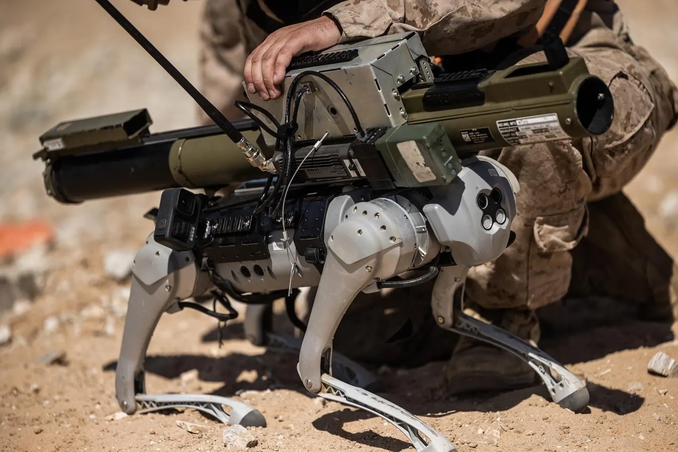 ABD Deniz Kuvvetleri, silahlı robot köpekleri test ediyor