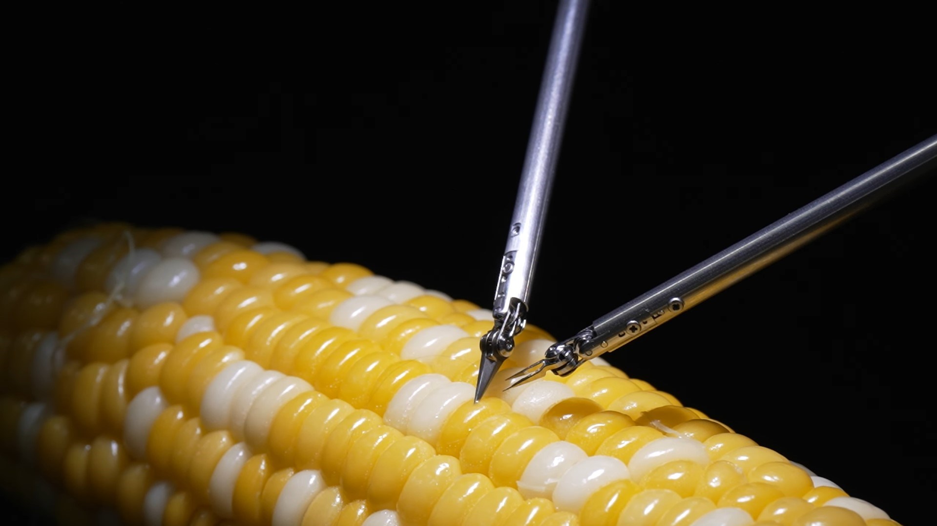 Sony’nin hassas mikrocerrahi robotu mısır tanesini dikebiliyor