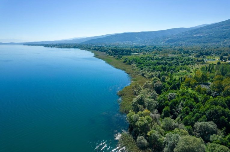 Sapanca’nın Doğal Güzelliklerini Keşfedin: Bungalov Tatili