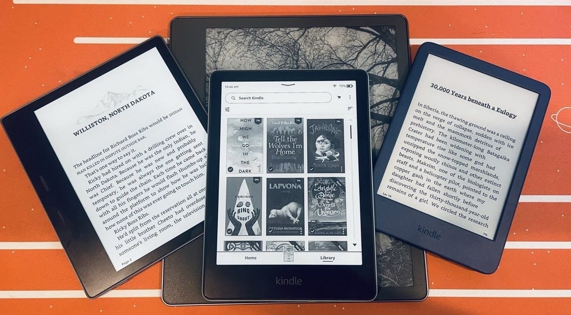 e-kitap okuma cihazı tavsiye 2024