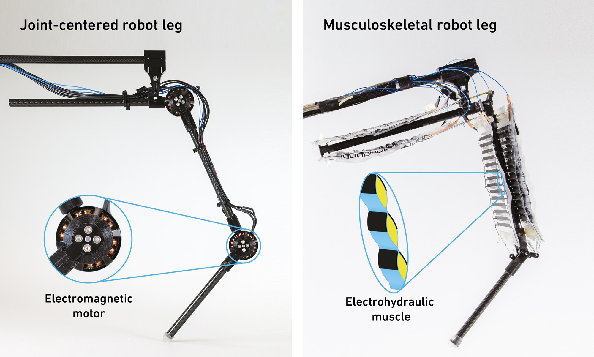 Robotlar için elektro-hidrolik kas sistemi geliştirildi