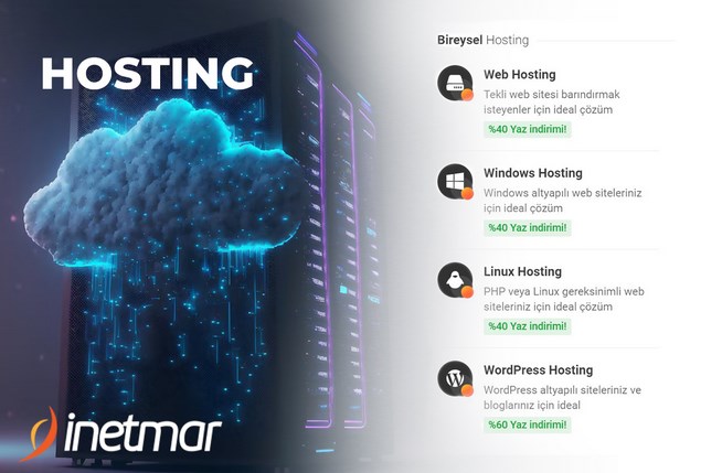 VDS mi Hosting mi?