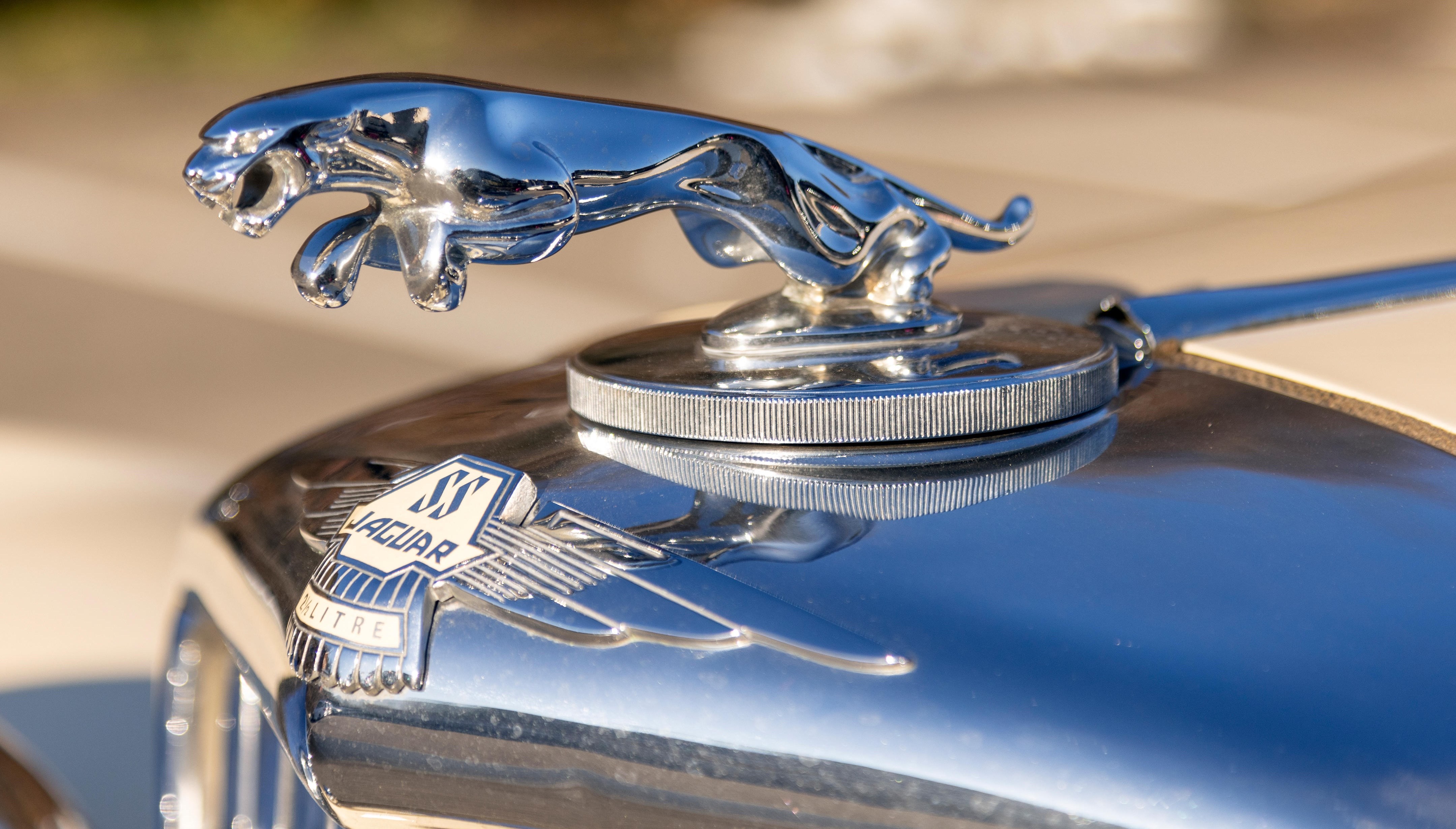 Jaguar araba logosu anlamı