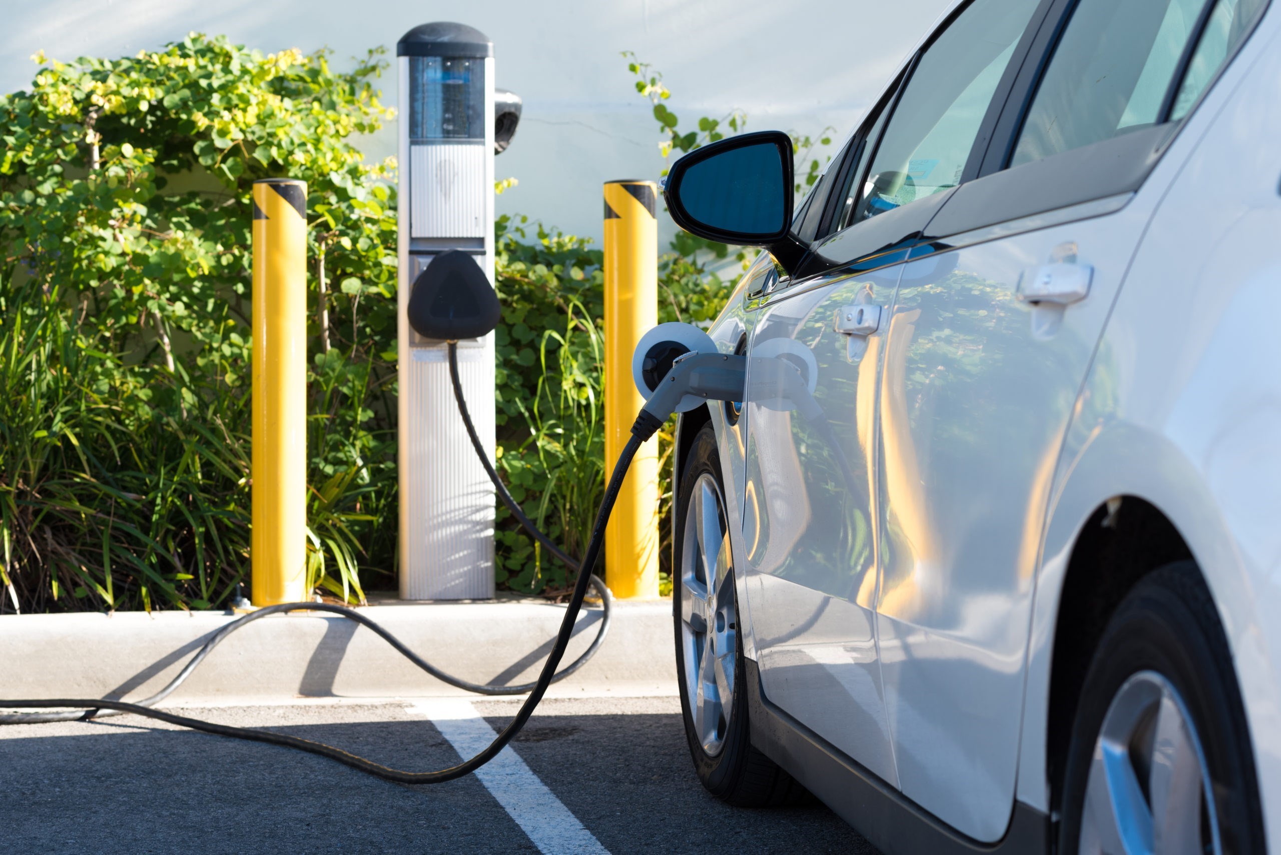 Türkiye’deki elektrikli araç sayısı 200 bine dayandı