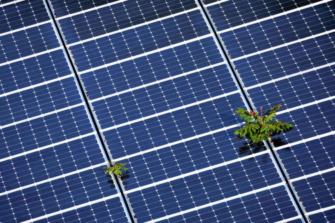 Çin’in güneş enerjisi ekipmanlarında casusluk tehlikesi