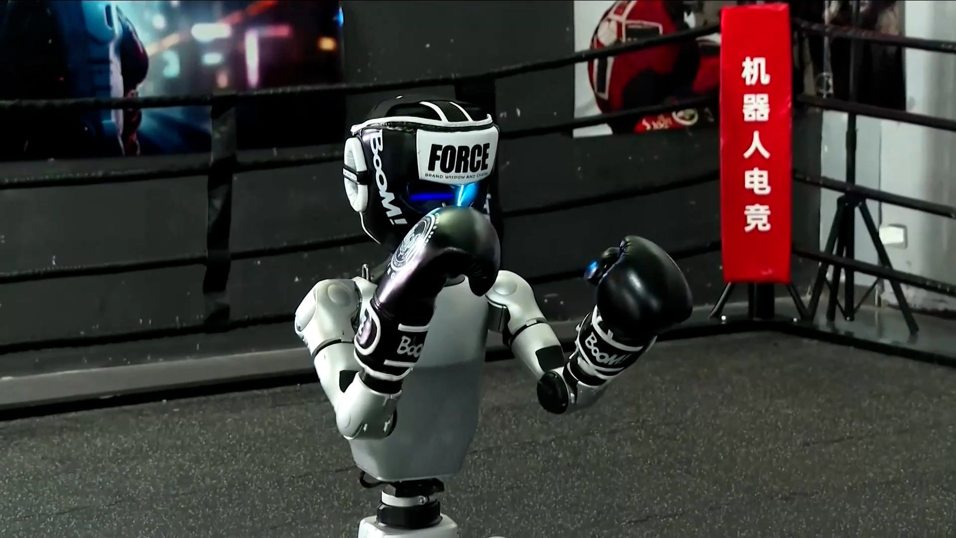 Film gerçek oldu: İnsansı robotlar boks için ringe çıkıyor
