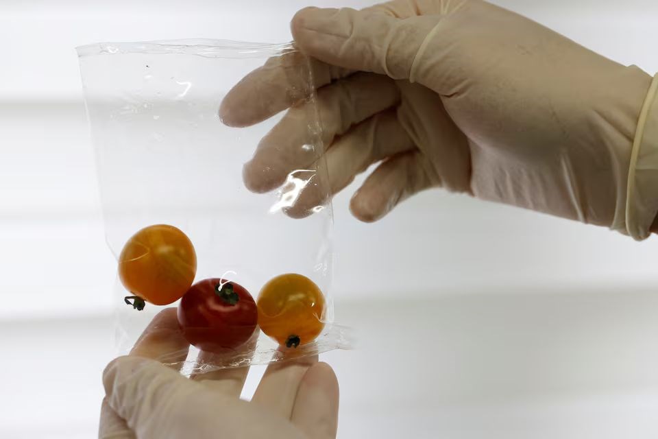 Deniz suyunda hızlıca eriyen yeni nesil plastik geliştirildi