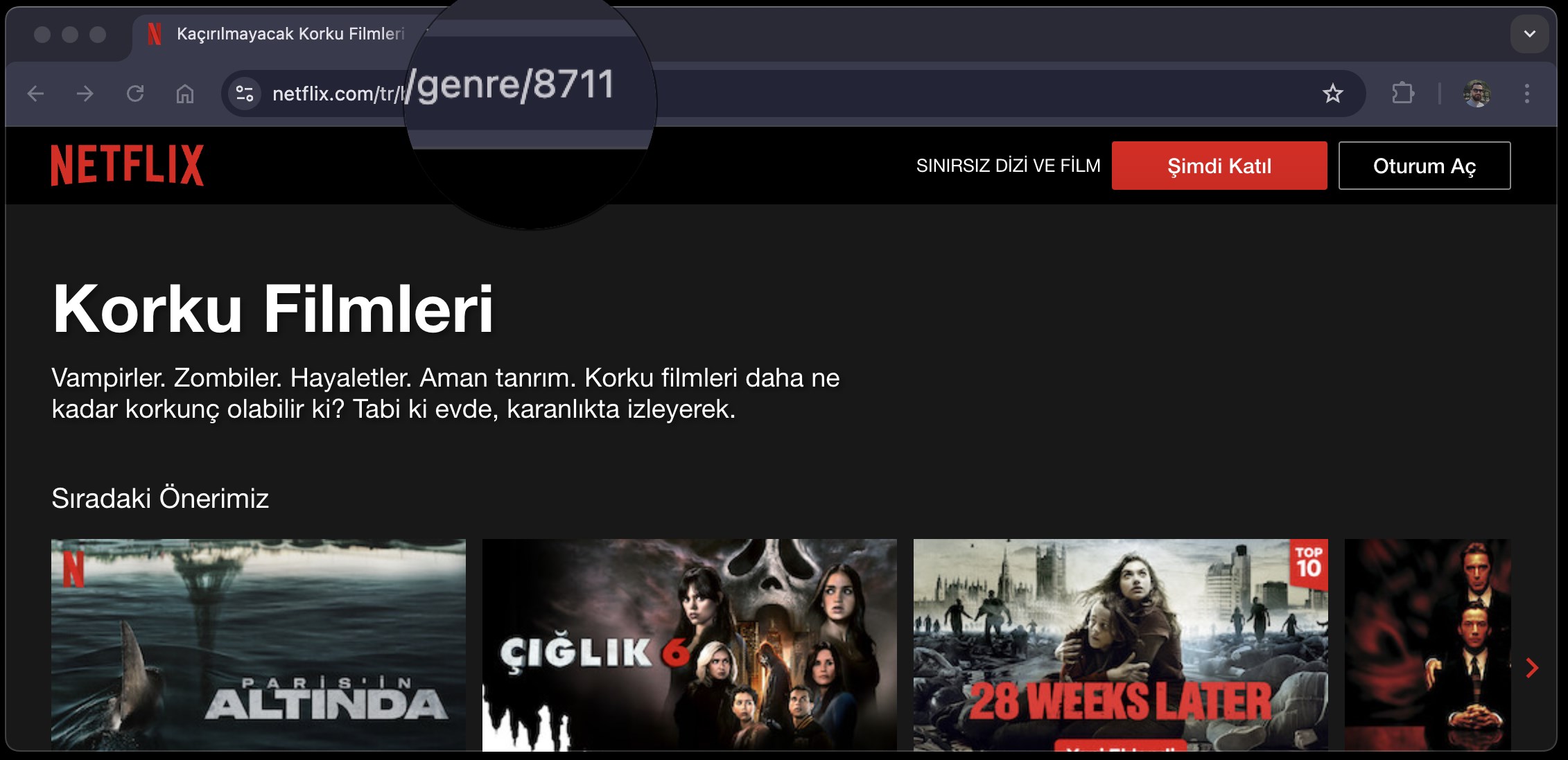 netflix kodları nasıl girilir