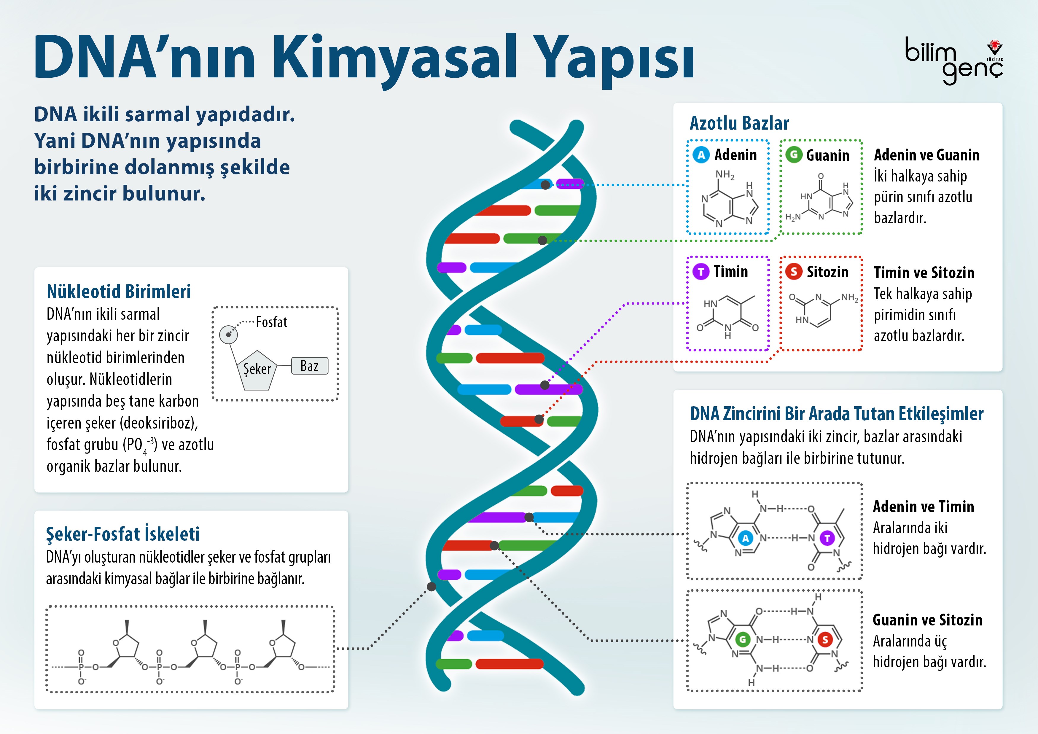Dünyada ilk: Sentetik insan DNA'sı üretme çalışmaları başladı!