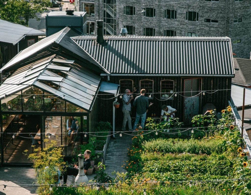 Kopenhag'ın çatı çiftlikleri, şehre ütopik bir dokunuş getiriyor