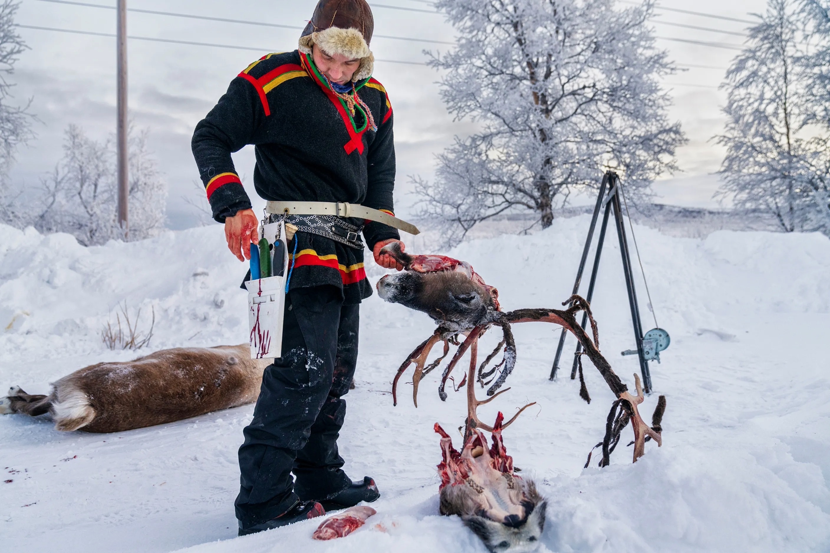 National Geographic, 2025'in en iyi fotoğraflarını yayınladı