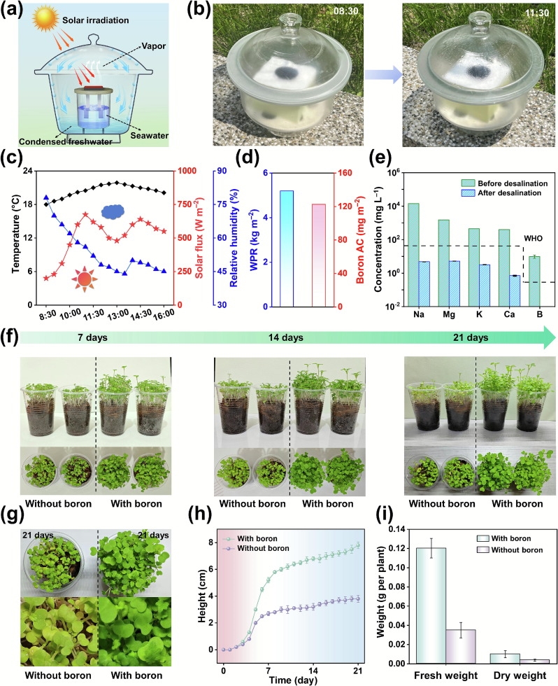 Çin, deniz suyundan hipersonik silah yakıtı bor elde etti