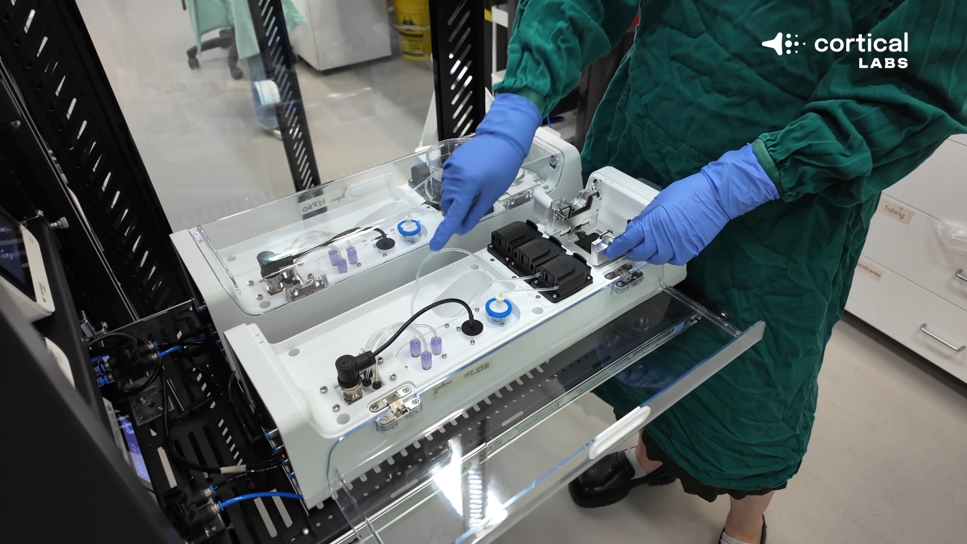 200 bin insan beyin hücresi Doom oynamayı öğrendi