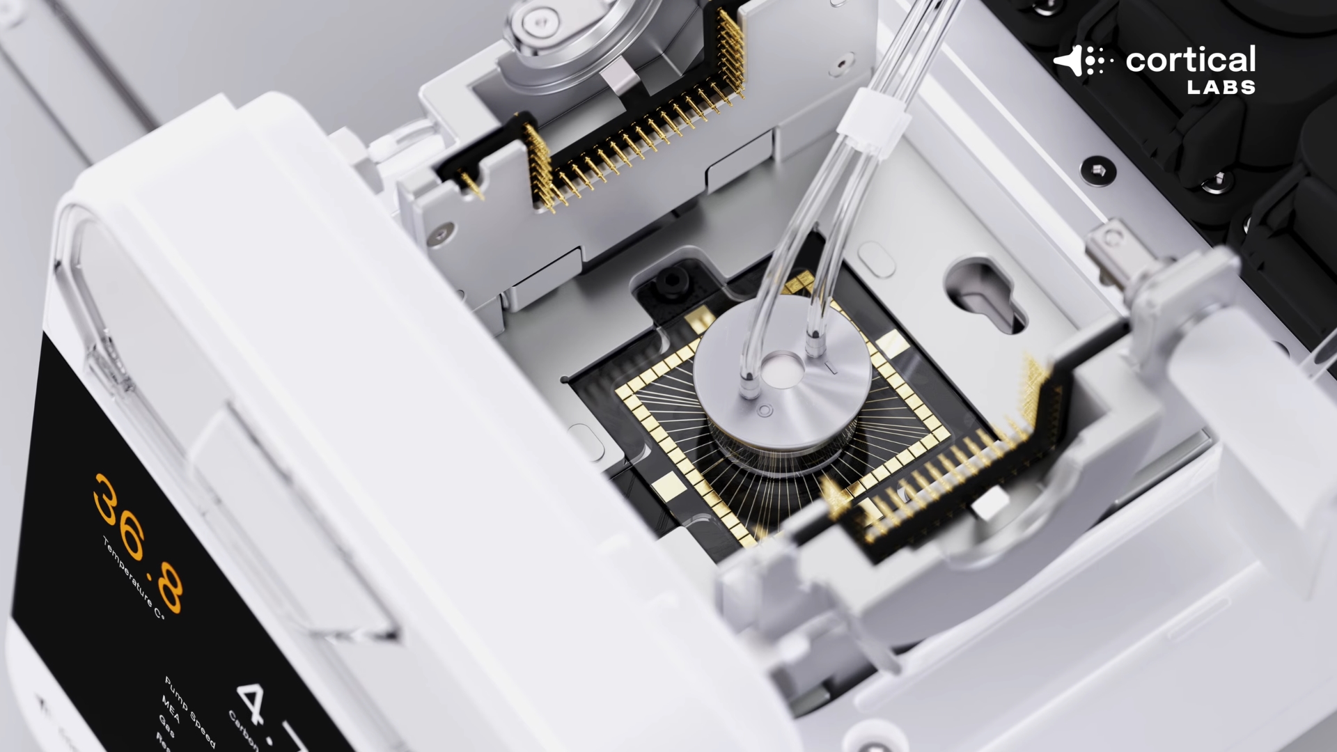 200 bin insan beyin hücresi Doom oynamayı öğrendi