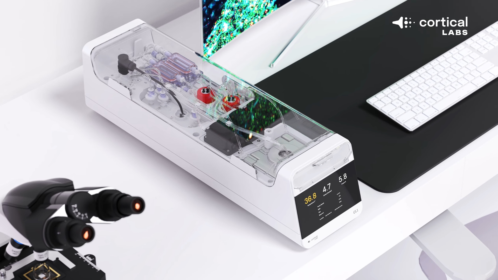 200 bin insan beyin hücresi Doom oynamayı öğrendi