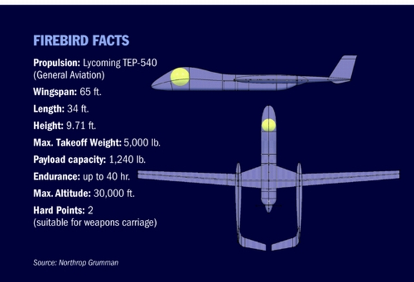 Pilot opsiyonlu insansız hava aracı; Firebird